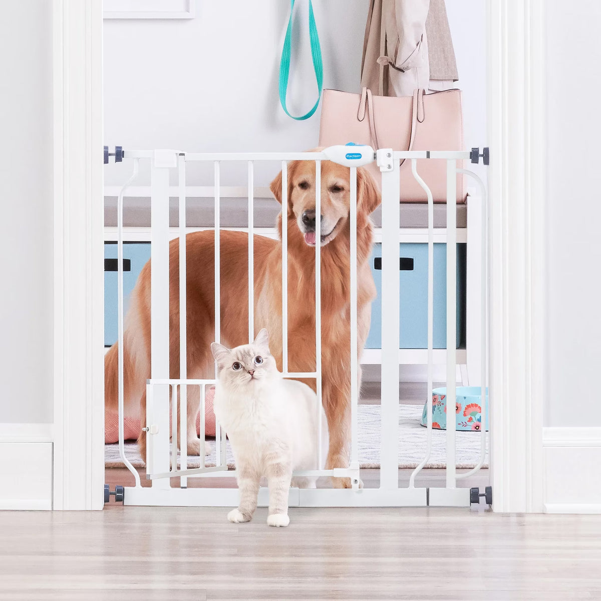 Carlson 30" Extra Tall Walk-Through Pet Gate, 29"-38.5" Wide, Small Door, White