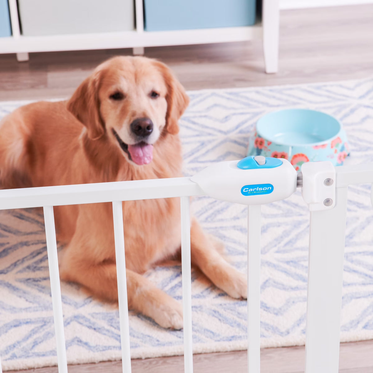 Carlson 30" Extra Tall Walk-Through Pet Gate, 29"-38.5" Wide, Small Door, White