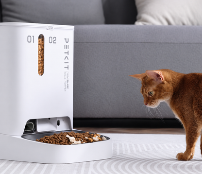 Distributeur automatique Yvora™ SmartFeast